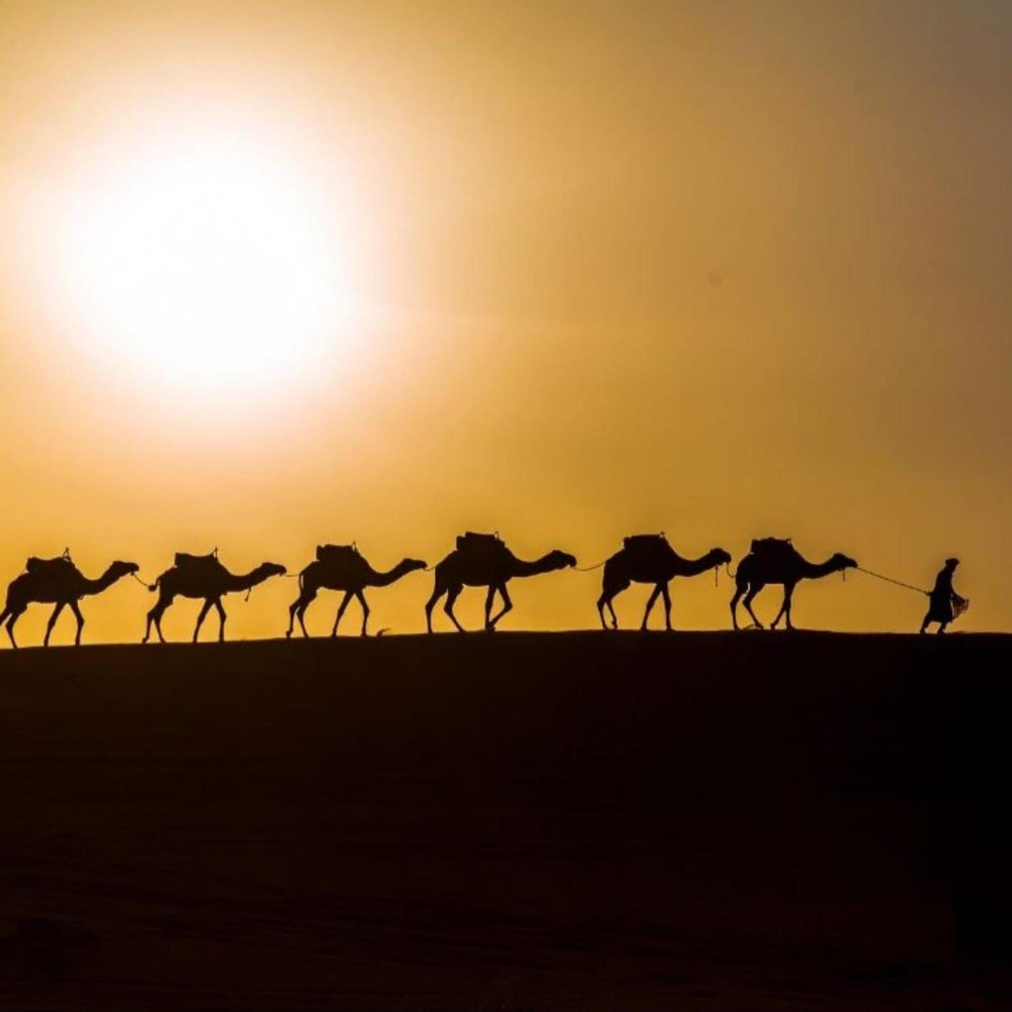 Unique Sahara Camp Otel Merzouga Dış mekan fotoğraf