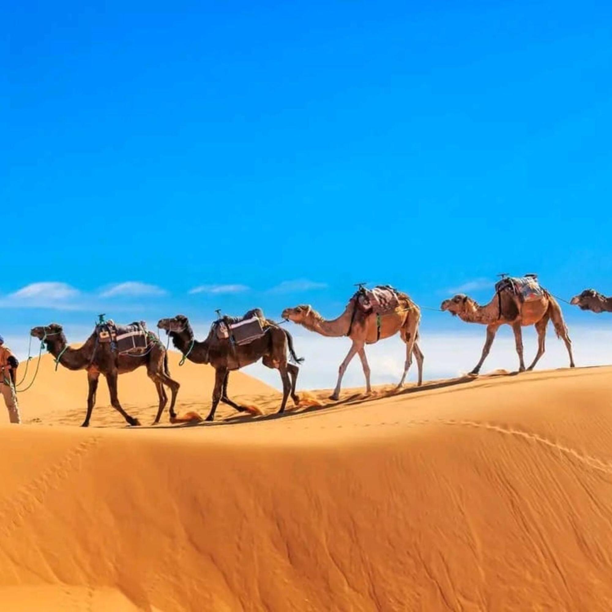 Unique Sahara Camp Otel Merzouga Dış mekan fotoğraf
